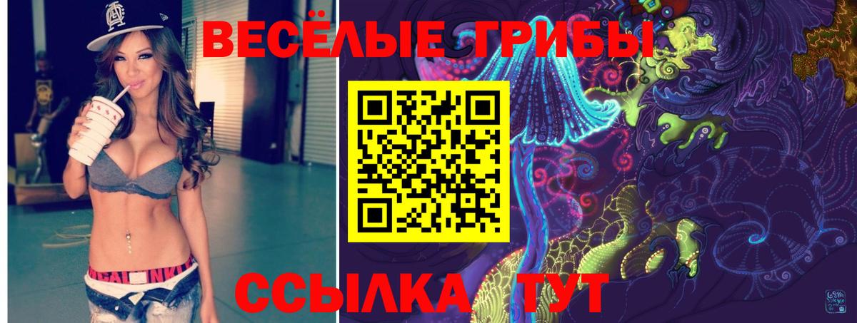 Галлюциногенные грибы Psilocybine cubensis  Псилоцибиновые грибы MAGIC MUSHROOMS  Вход с VPN  Фурманов 