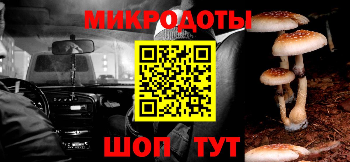 Псилоцибиновые грибы мицелий Фурманов
